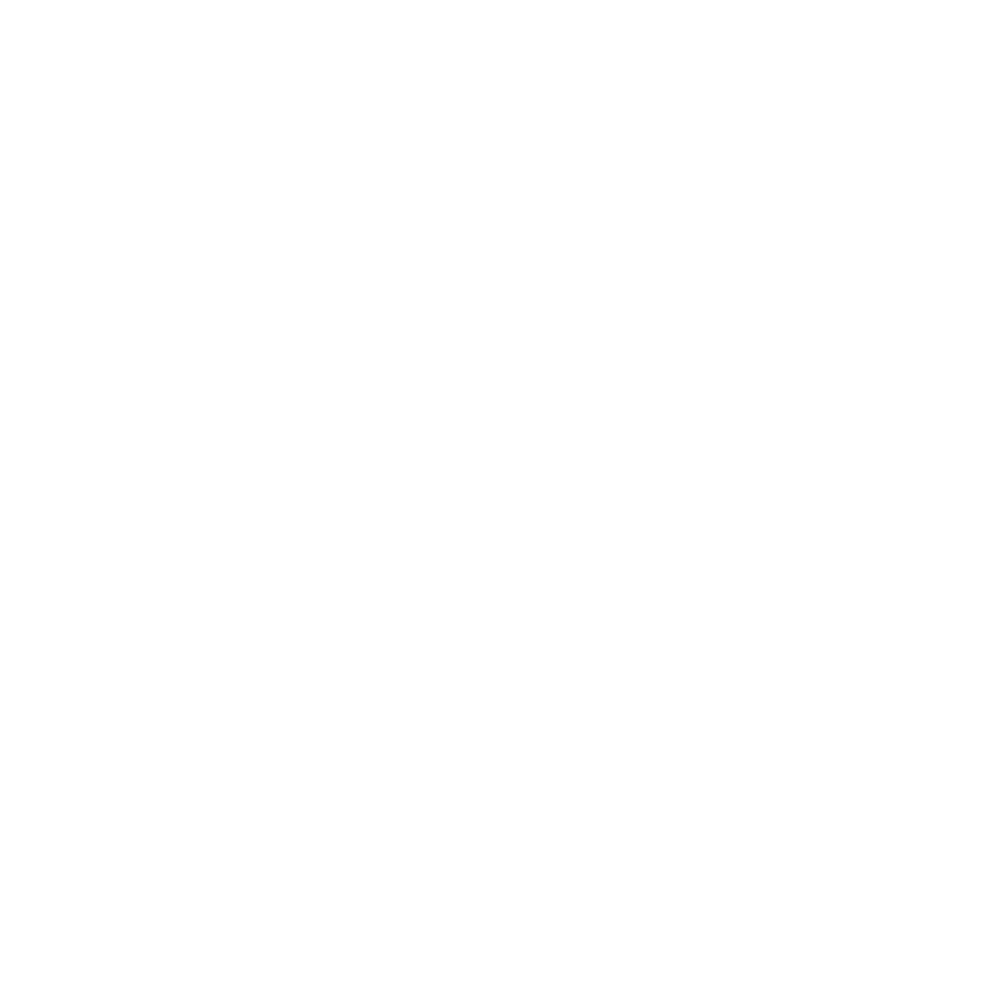 Logo Vignobles Dubergé